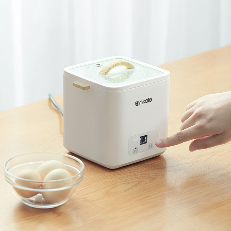 4-eieren ketel stoomboot multi - Egg Cooker Rapid recensie en prijs