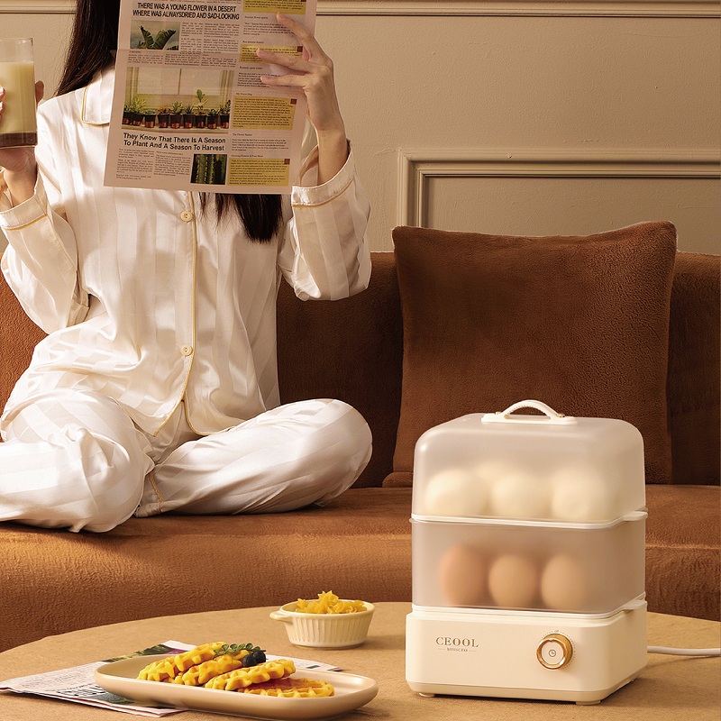 200W Eierkoker Dubbele Lagen E - Egg Cooker Rapid recensie en prijs