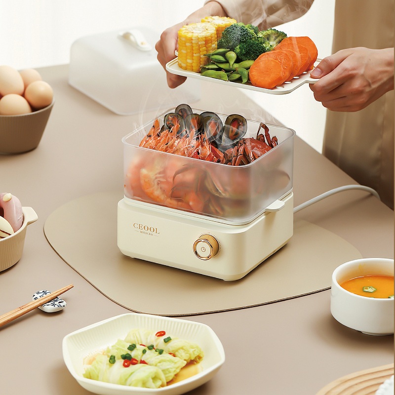 200W Eierkoker Dubbele Lagen E - Egg Cooker Rapid recensie en prijs